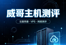2026年7大美国原生IP vps云服务器厂商推荐-威哥主机测评